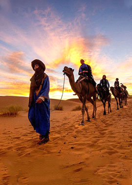 Bougainvilleas on Lombard Street,  San Francisco, Tokyo