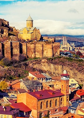 Bougainvilleas on Lombard Street,  San Francisco, Tokyo