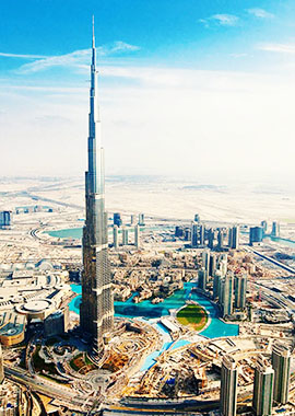 Bougainvilleas on Lombard Street,  San Francisco, Tokyo