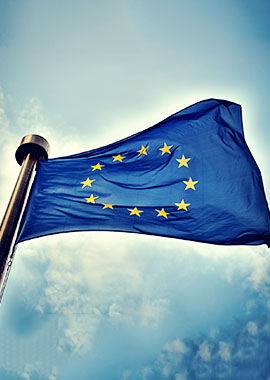Bougainvilleas on Lombard Street,  San Francisco, Tokyo