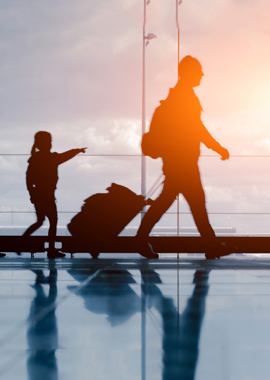 Bougainvilleas on Lombard Street,  San Francisco, Tokyo