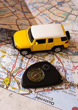 Bougainvilleas on Lombard Street,  San Francisco, Tokyo